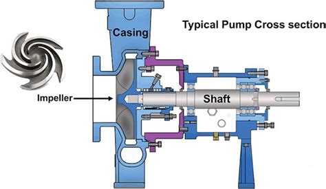 explain centrifugal pump with neat sketch|centrifugal pump shaft diagram.